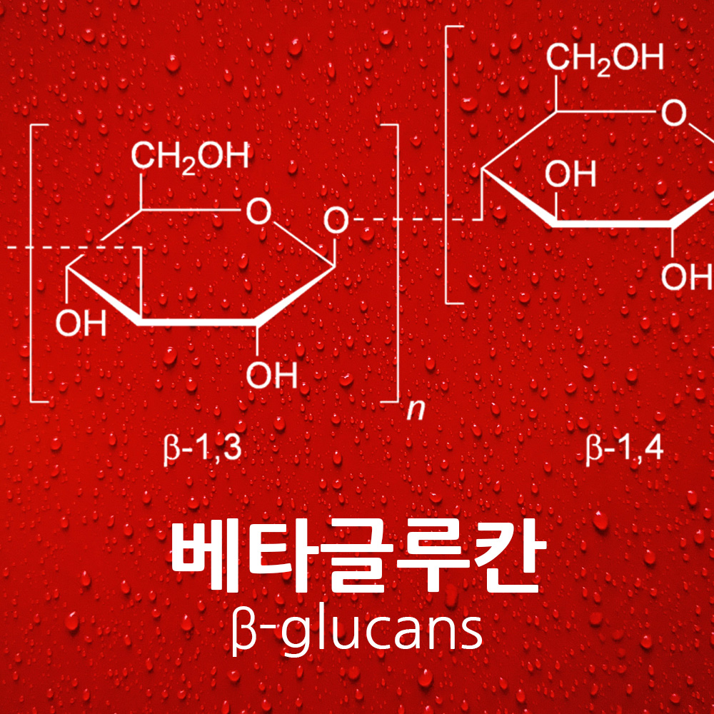 다재 다능한
