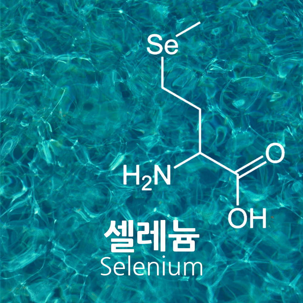 알고 먹읍시다